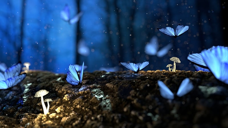Enchanted Blessings