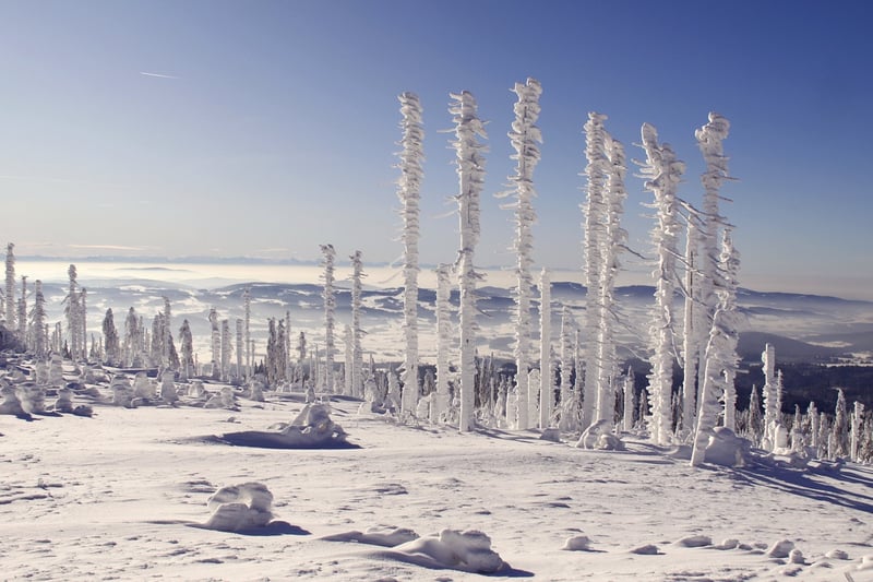Magical Winter Scene